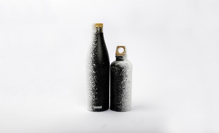 Actual product image Sigg Meridian (0.70 l)