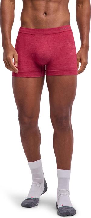 Actual product image Falke Men (M)