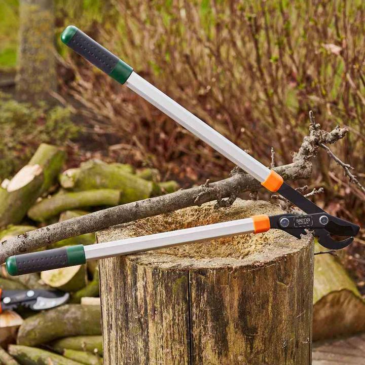 Actual product image Siena Garden Pruning shears