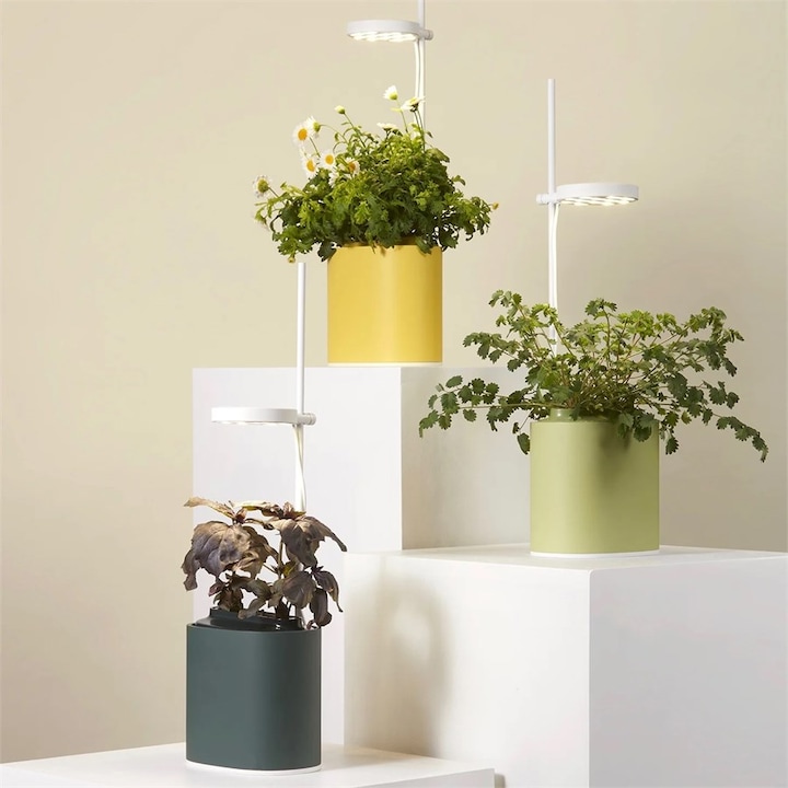 Image du produit Prêt à Pousser Pot à herbes Nano, Forest Green (13.50 cm)