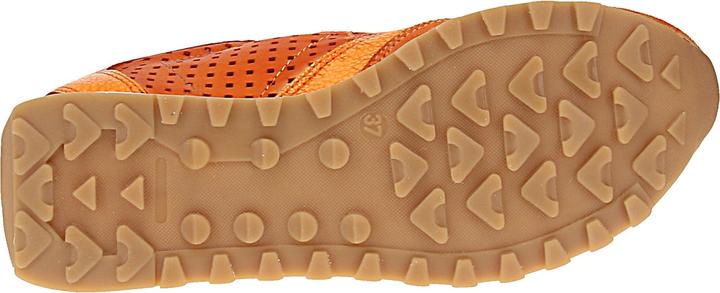 Image du produit Cetti C-848 SRA V25-26 (41)