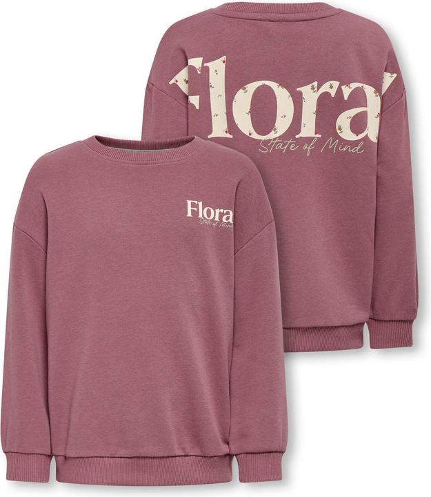 Image du produit Only Kmggeorgia Life Ls Print Ub Swt Noos (122)