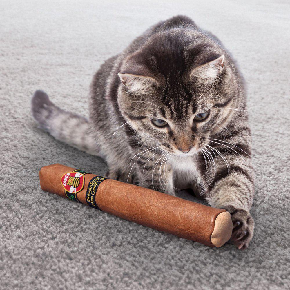 Thumbnail - KONG Cat Better Buzz Cigar (23cm / Ø3cm) (Katzenspielzeug, Katzenminzespielzeug), Katzenspielzeug