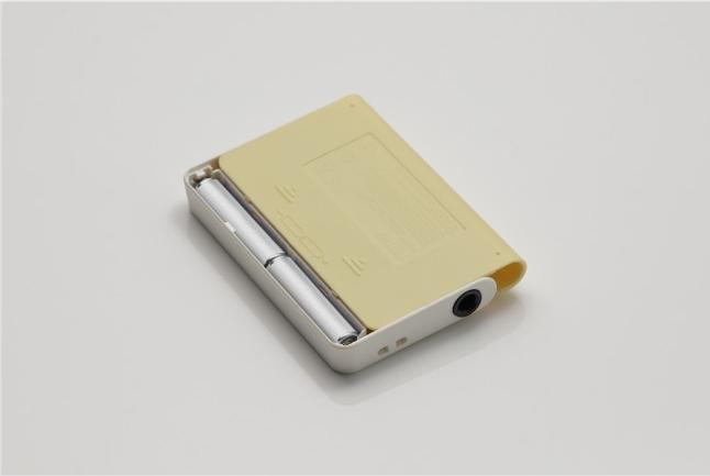 Actual product image Korg Ca-2