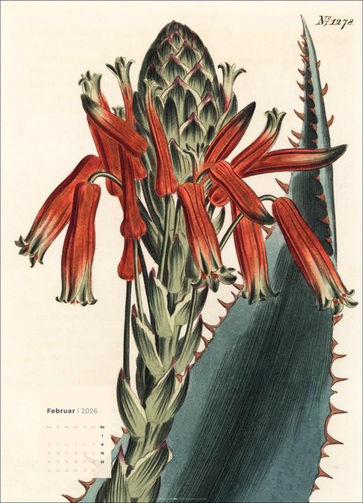 Produktbild Botanicals Kalender 2026 (49 x 68 cm)