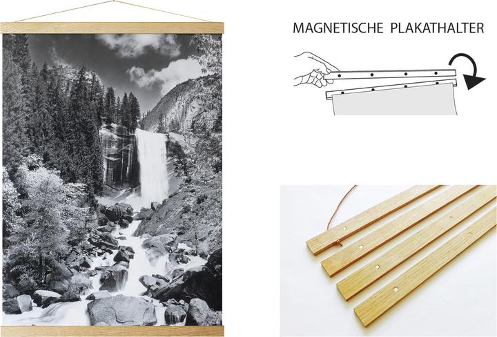 Actual product image Debex Magnetic (Various)