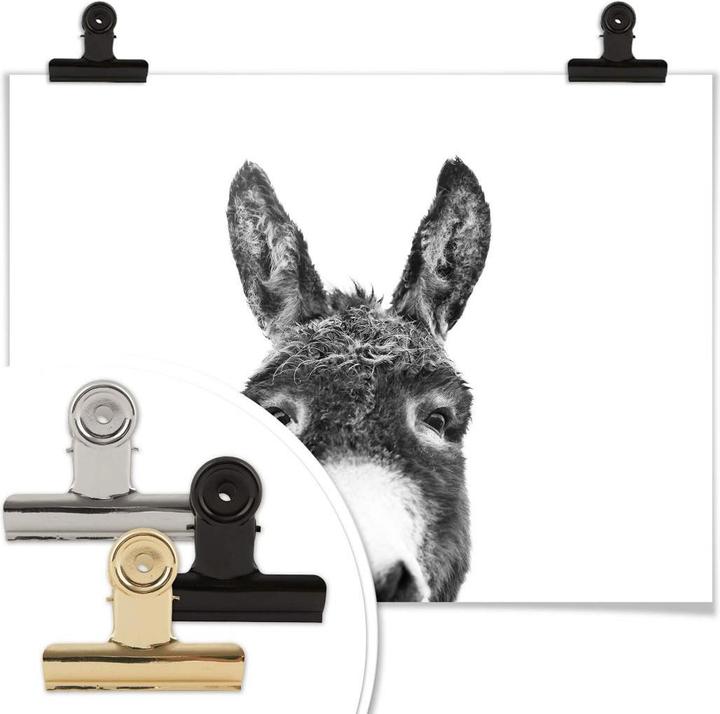 Produktbild Trenddeko Der Esel (80 x 60 cm)