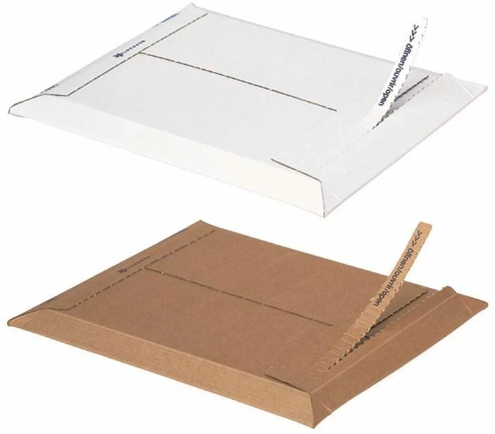 Actual product image Brieger Shipping box (1 x)