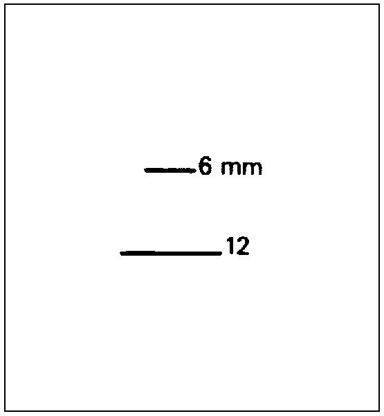 Actual product image Dogbone chisel (6 mm)