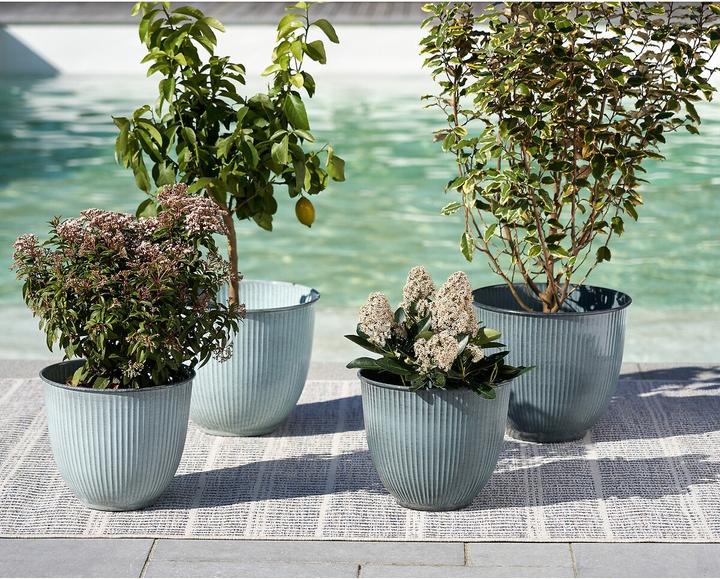 Actual product image La Redoute Interieurs AnaãA (37 x 37 x 32 cm)