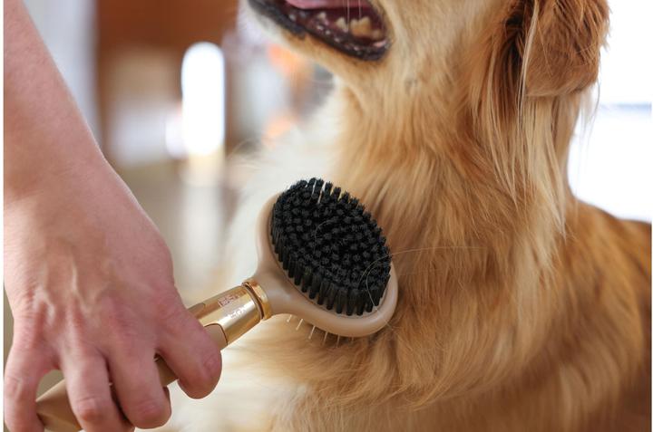 Produktbild Magic Brush Doppelbürste für Hunde (Hund)
