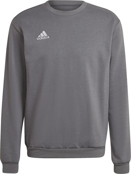 Actual product image adidas Entrada 22 sweatshirt men (M)