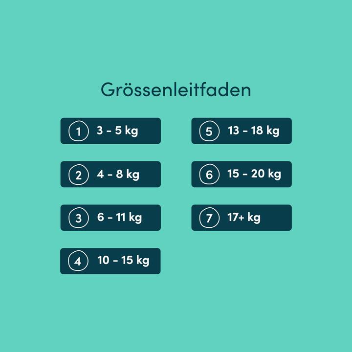 Produktbild Rascals Premium-Windeln (Gr. 3, Tragepack, 50 Stück)