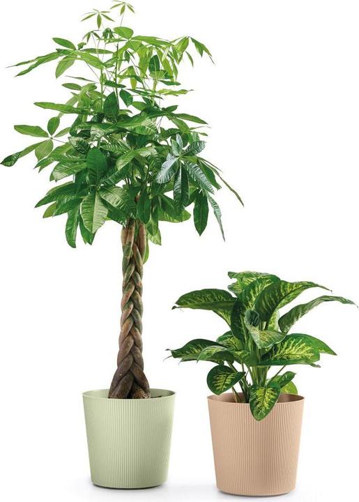 Produktbild Euro3plast Blumentopf Fyre Ø 40 cm dune Greener, mit Rollen