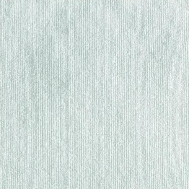 Actual product image Kimberly-Clark Wypall X60