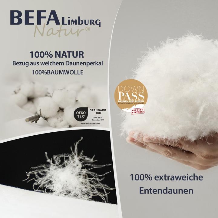 Produktbild BEFA Limburg Natur Daunendecke, 100% reine Daunen, Ganzjahr (830 g, 200 x 200 cm)