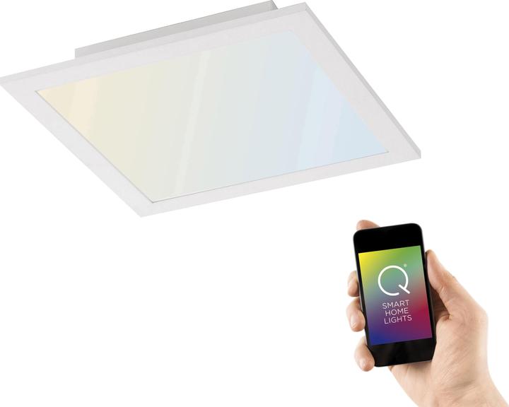 Actual product image Paul Neuhaus Q-Flag (2900 lm)