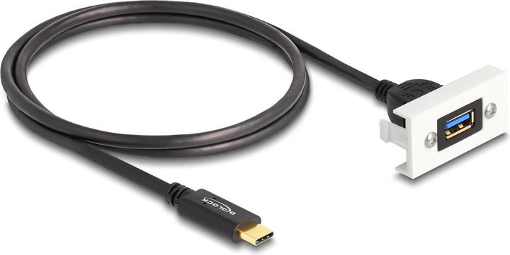 Actual product image Delock Easy 45 Module SuperSpeed USB 10 Gbps (1 m, USB 3.2 Gen 2)