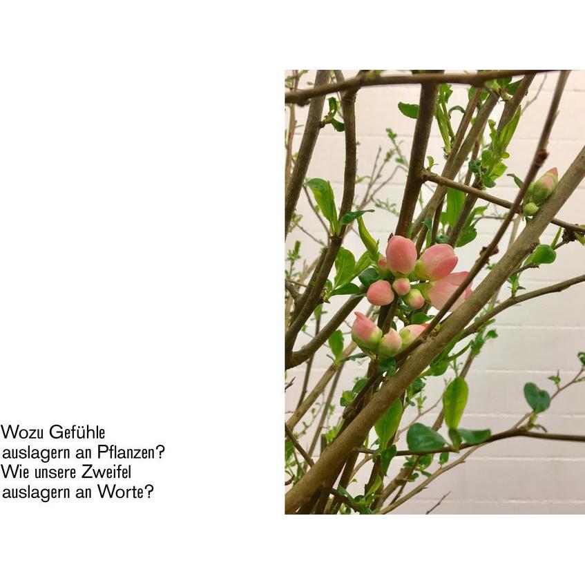 Thumbnail - Blumen sind geil, Sachbücher von Markus Kummer, Tine Melzer