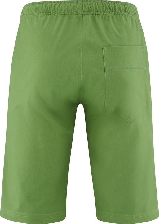 Actual product image Red Chili Dojo Shorts IV