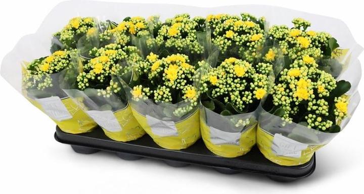 Produktbild Ubiquiti UniFi AP AC-PRO (1300 Mbit/s)