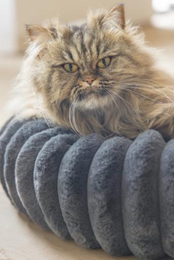 Actual product image Designed by Lotte Katzenbett rund (Cat)