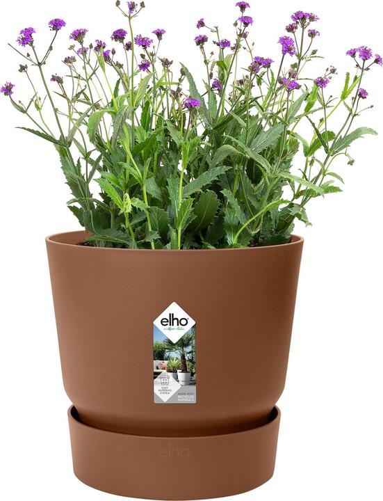 Produktbild Elho Greenville (18 x 17 cm)