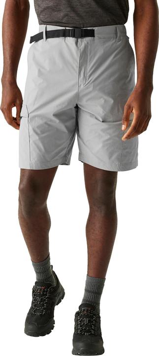 Actual product image Regatta Mens Mallen Shorts (L)