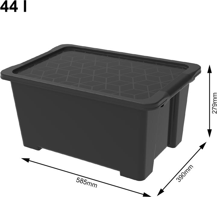 Image du produit Rotho Evo Easy (58.5 x 39 x 28 cm, 44 l)