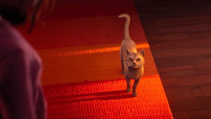 Productafbeelding Square Enix Life is Strange: Dubbele blootstelling (PS5, IT)