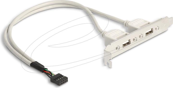 Image du produit Delock Support de fente 2x USB 2.0 à 10 broches (0.30 m, USB 2.0)