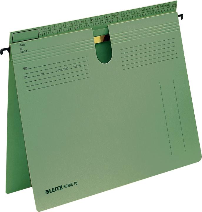Actual product image Leitz Hanging file series 18 (A4, 1x)
