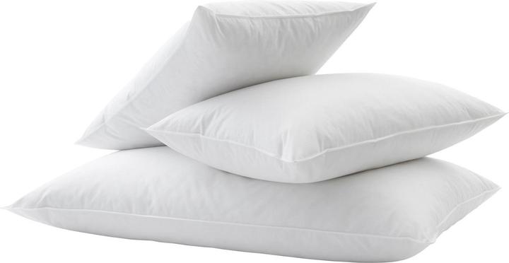 Immagine prodotto Billerbeck John (65 x 65 cm)