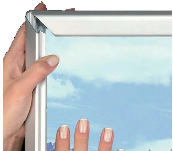 Actual product image Franken Poster Frame Security Fire Proof (A4)
