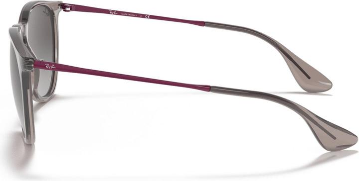 Produktbild Ray Ban Erika RB4171