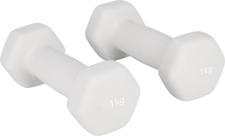 Galaxus Haltères courts (2 x 1 kg)