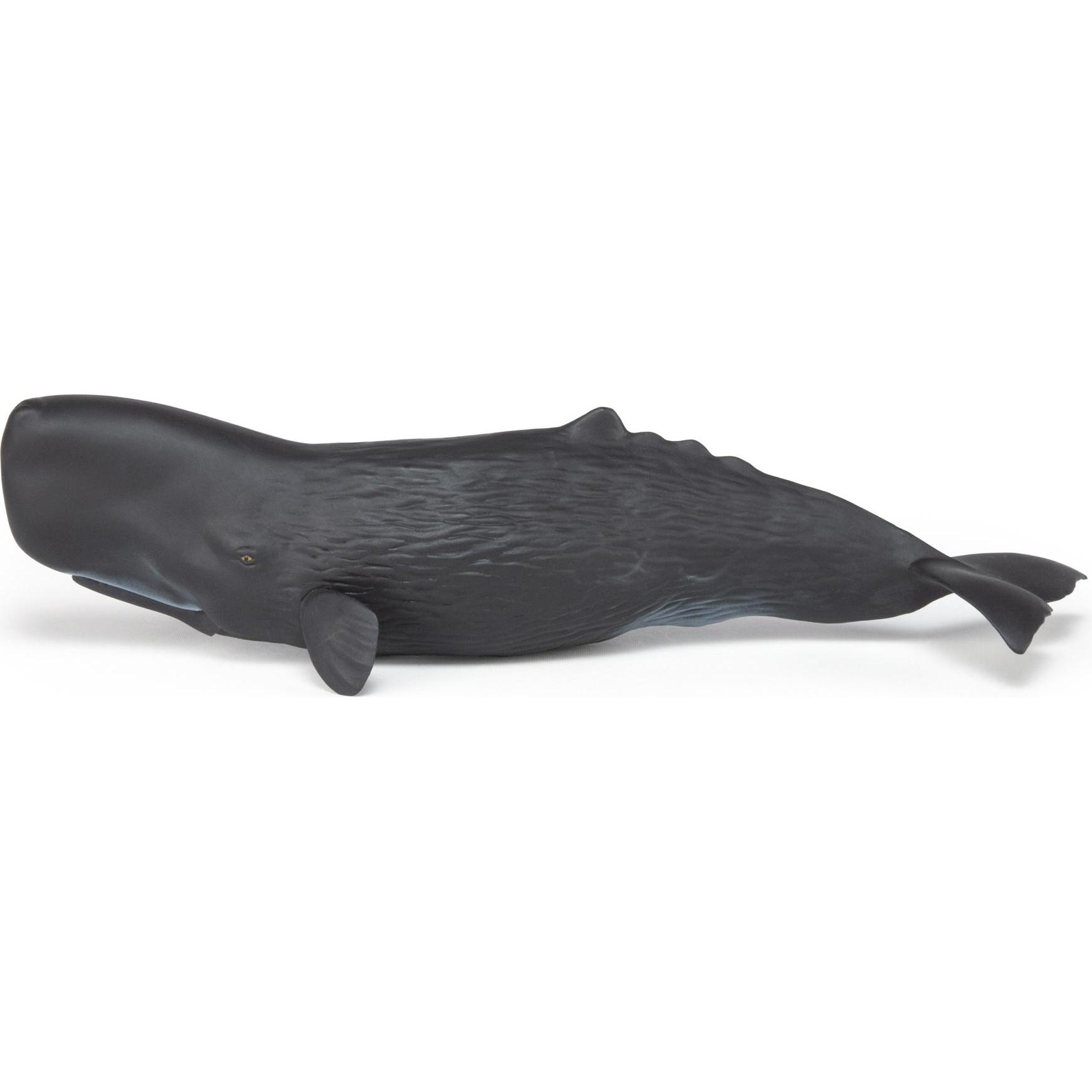 Thumbnail - Papo Pottwal