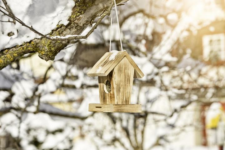 Immagine prodotto Windhager Birdfeed Silo Cottage