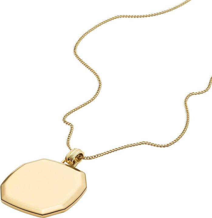 Image du produit Fossil JF04961710 Collier (Acier inoxydable)