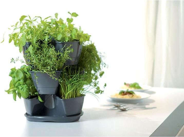 Actual product image Prosperplast Triple Pot for Herbs Coubi Herbal Anthracite