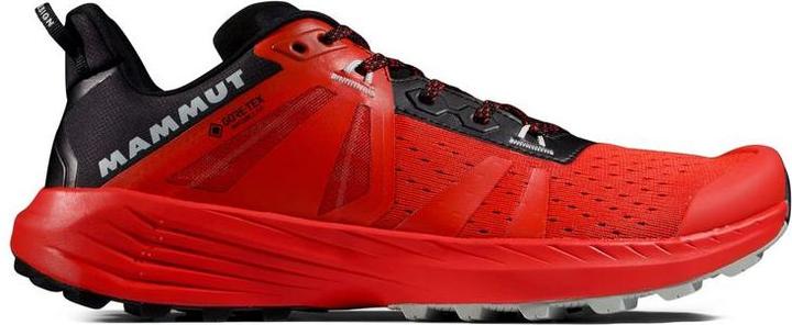 Mammut Saentis TR Low GTX