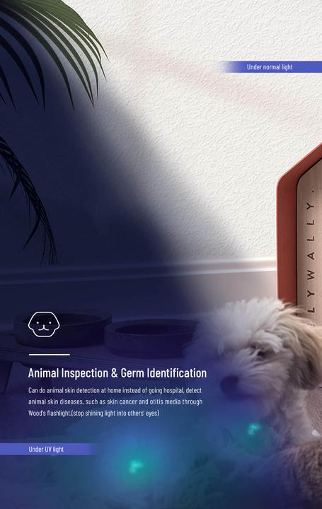 Actual product image Wuben E19UV (13.30 cm)