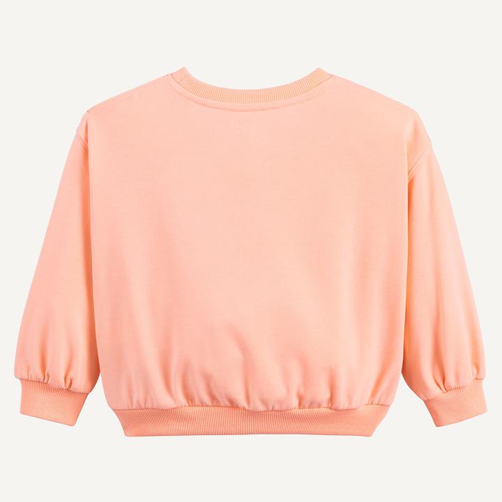 Produktbild La Redoute Collections Sweatshirt mit Rundhalsausschnitt aus Molton (92)