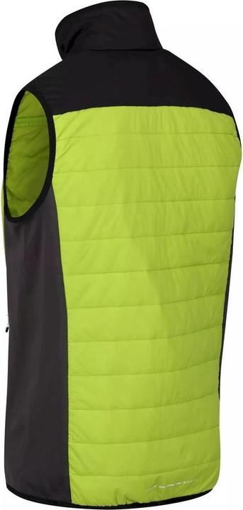 Actual product image Regatta Halton Vi Vest Light (S)