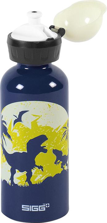 Actual product image Sigg Glow (0.40 l)