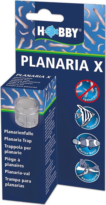 Image du produit Hobby Piège à planaires (Nettoyage de l'aquarium)