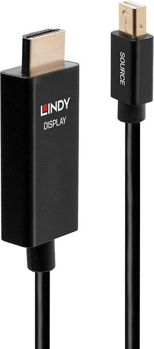 Actual product image Lindy Video cable DisplayPort / HDMI (2 m, Other, 2.0)