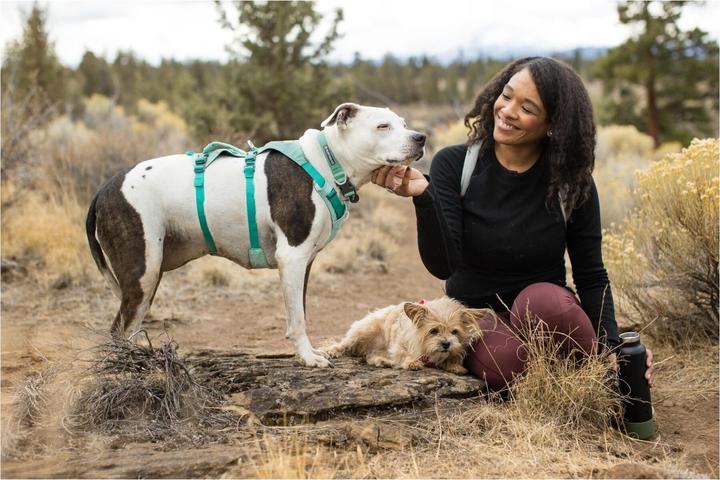 Image du produit Ruffwear Harnais Flagline (M, Chien, Général)