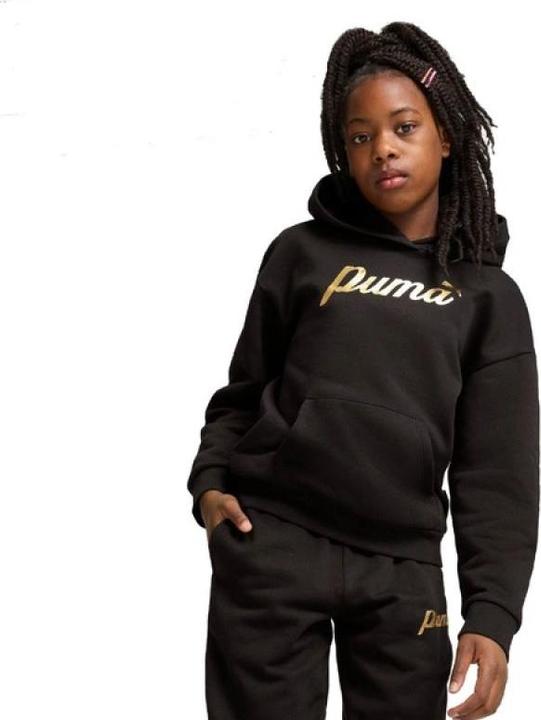 Produktbild Puma ESS+ SCRIPT Metallic Hoodie FL G (128)