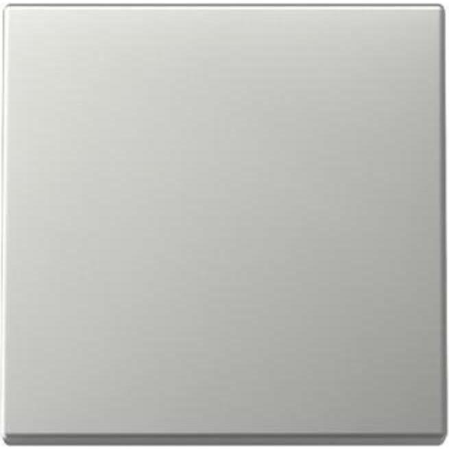 Gira, Zubehör Schalterprogramm, Wippe System 55 Edelstahl 3296600